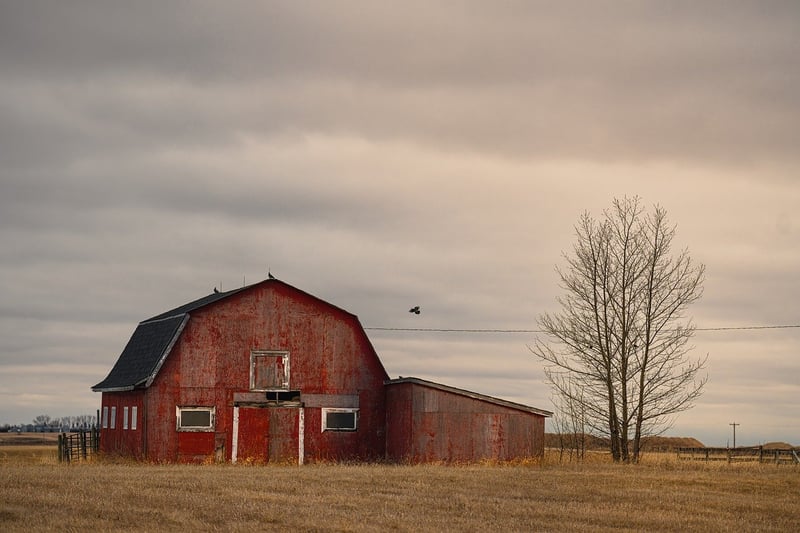 The Barn at Willow Creek
